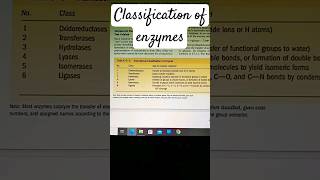 classification of enzymes enzymes biochemistry biology zoology shortsfeed shorts shortvideo [upl. by Nilyam511]