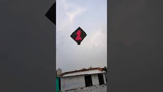 kite flying without a knot 😨।। shorts kite patang patangwala kitelooting kiteflying kitelover [upl. by Lanahtan323]