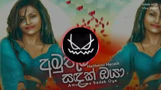 Amuthuma sadak oya Hitha Laga Heene අමුතුම සදක් ඔයා Nethmini Herath [upl. by Harty824]