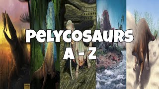 Pelycosaurs A  Z 11 [upl. by Anaerda]