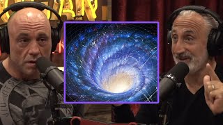 How a Rotating Universe Makes Time Travel Possible  Joe Rogan amp Gad Saad [upl. by Brote494]