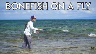 Basics of Bonefish On A Fly [upl. by Alehcim999]