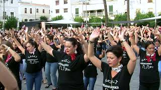 FLASHMOB FLAMENCO EN MÉRIDA 211017 [upl. by Ylevol298]