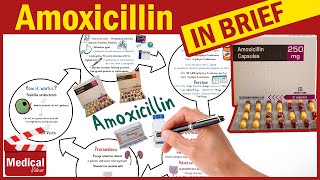 Amoxicillin 500mg Capsule What is Amoxicillin Used For Dosage Contraindications amp Precautions [upl. by Ymled]