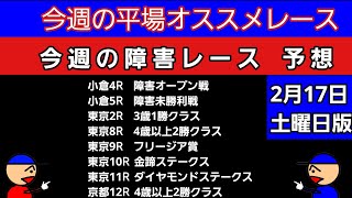 平場オススメレースと障害レースの予想2月17日土曜日版 ダイヤモンドステークス 金蹄ステークス フリージア賞 障害未勝利戦 障害オープン戦 4歳以上2勝クラス 3歳1勝クラス [upl. by Wayolle623]