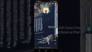 Menyeramkan Penampakan Monster laut Kraken di google earth shorts [upl. by Litsyrk]