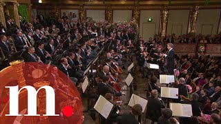 The 2011 Vienna Philharmonic New Years Concert with Franz WelserMöst [upl. by Fitz]