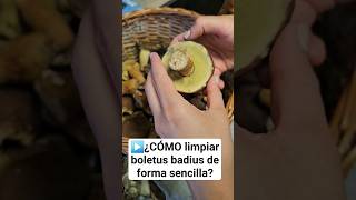 ▶️✅️¿COMO limpiar boletus badius de forma sencilla fungus steinpilze boletus trucos how [upl. by Eruot616]