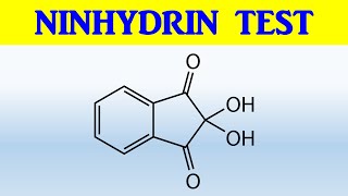 NINHYDRIN TEST [upl. by Gad]