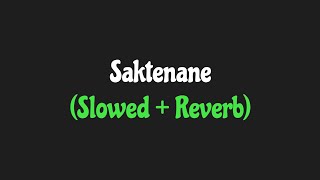 Saktenane Slowed  Reverb [upl. by Stiruc]