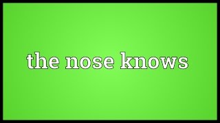 The nose knows Meaning [upl. by Anyl]