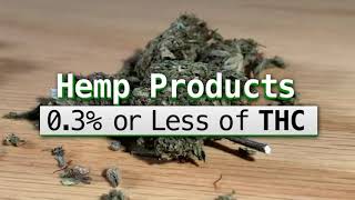 CBD Tested Whats in the popular products and is there THC [upl. by Bohi846]