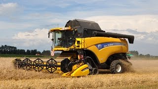 Loonwerk De Bruyne  New Holland CX8090  triticale [upl. by Anetta]