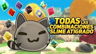 TODAS LAS COMBINACIONES DEL SLIME ATIGRADO ⭐️ Slime Rancher 41  iTownGamePlay [upl. by Moreland]