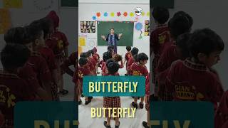 Butterfly butterfly song  nursery rhyme  English rhymes [upl. by Nyrat]