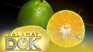 Salamat Dok The health benefits of dalandan calamansi and pomelo [upl. by Marcie109]