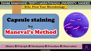 Negative Capsule Staining by Maneval Method  BSc FY Microbiology SRTMUN EnglishMarathi [upl. by Donielle306]