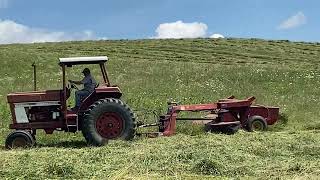 Mowing Hay With 3 Tractors [upl. by Karlis456]