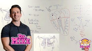 Understanding ECGs  From Placement to Interpretation [upl. by Eaver]