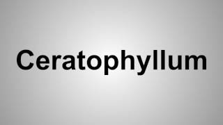 How To Pronounce Ceratophyllum [upl. by God]