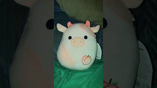 Lilaz Squishmallow squishmallows cow peach shorts plush plushies walgreens squishmallow [upl. by Bang]