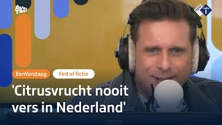 Hoe vers zijn onze mandarijnen eigenlijk écht  Feit of Fictie  NPO Radio 1 [upl. by Rothmuller]