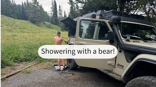 Showering with a bear while in Yellowstone [upl. by Nnylarak172]