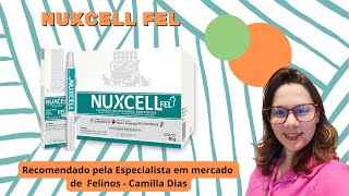 Como dar remédiomedicamento líquido para gatos  nível fácil e médio 💉 💦  😸 [upl. by Ormond971]