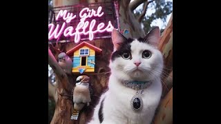 WAFFLES AND THE KITTY LITTER [upl. by Iinde]