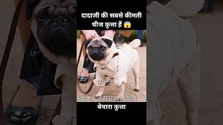 यह कुत्ता दादी की सबसे कीमती चीज हैं 😱  short anime cartoon dog [upl. by Cleland]