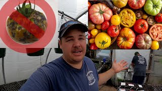 How do vegetable farmers feel about HEIRLOOM TOMATOES [upl. by Peirce724]