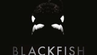 Blackfish  Trailer Italiano [upl. by Bellda]