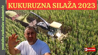 KUKURUZNA SILAŽA 2023  CORN SILAGE 2023 [upl. by Cara157]