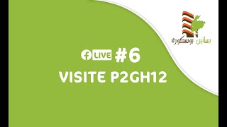 6 LIVE  P2GH12 [upl. by Bord385]