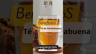 infusión Té de hierbabuena [upl. by Anirahc]