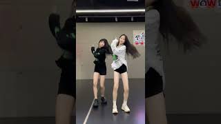 Learn Latest Dances TikTok Compilation October 2024 dance trends [upl. by Kcitrap]