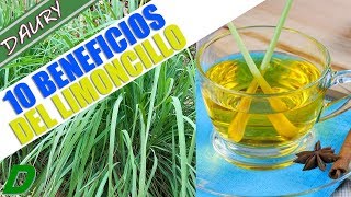 10 BENEFICIOS Del LIMONCILLO o Caña Santa y COMO PREPARAR el Té De esta planta [upl. by Atirres727]