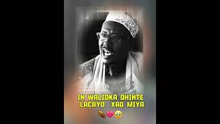 Walidka dhinte in lacayo miyaa marena team27 duet amiiraqurux somalia somaliatiktok [upl. by Iong672]