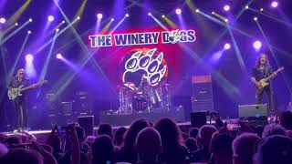 The Vinery Dogs  Barba Negra 2023  Gaslight [upl. by Ahsatam50]