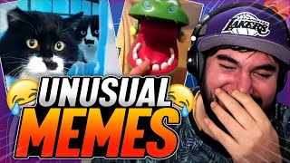 PUTUPAU REACCIONA a UNUSUAL MEMES COMPILATION 10 [upl. by Nwahsal]