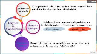 Leçon 10 Outils de la signalisation Intracellulaire 3  Enzymes [upl. by Enier]