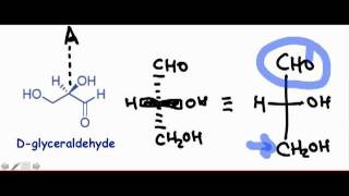 Introduction to Monosaccharides amp Fischer Projections [upl. by Rehpotsyrk]