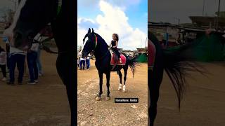 Dhruhi Horse 🐎 Riding  horse horses ghoda horseriding horselover ytvideo shortsfeed dhruhi [upl. by Llekcor221]