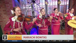 Mariachi Bonitas [upl. by Ariella]