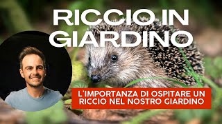 Ricci in giardino scopri perché ne hai bisogno [upl. by Yesdnyl]