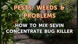 How to Mix Sevin Concentrate Bug Killer [upl. by Esinned]