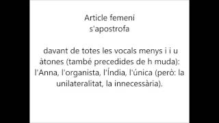 L apostrof masculí i femení CATALÀ [upl. by Heti]