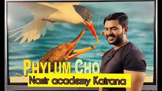 Phylum Chordata part 1 Animal kingdom for class 11 and neet students [upl. by Eirrej539]