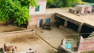 Pakistani village vlog  punjabi village culture aj hum kharian paint 🎨 lene ge [upl. by Rubio]