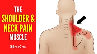 The Neck and Shoulder Pain Muscle How to Release It for INSTANT RELIEF [upl. by Nibram]